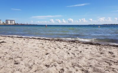 Tips til en sommer i dit lokale hood