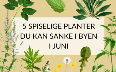 Gå på jagt i byens spisekammer
